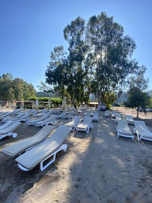 Mavi Yengeç Bungalow & Restaurant - Görsel 20