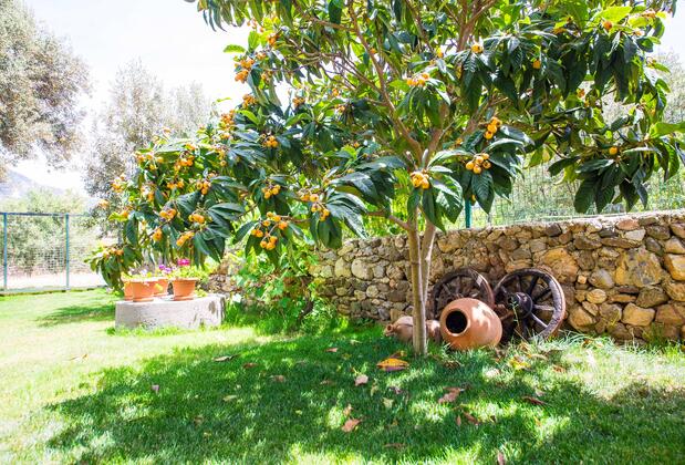 Bal Badem Bungalow - Görsel 20