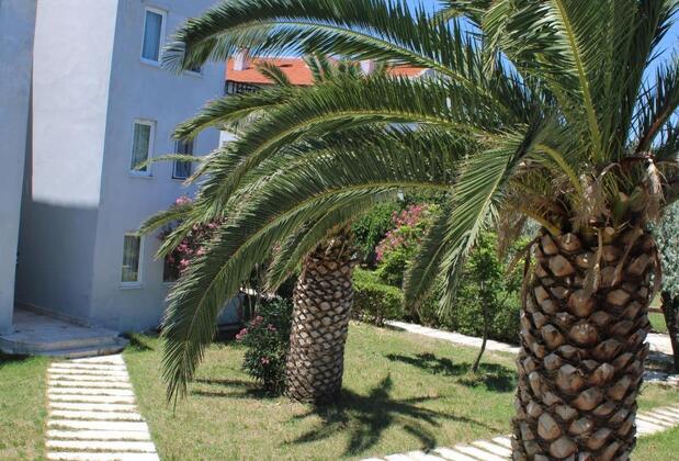 Club Rainbow - Görsel 3