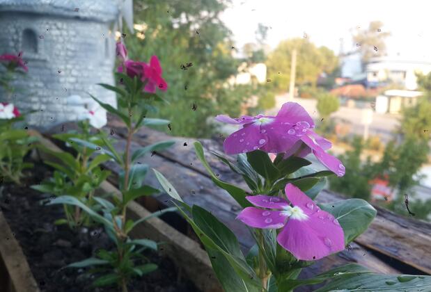 Aytaç Motel - Görsel 4