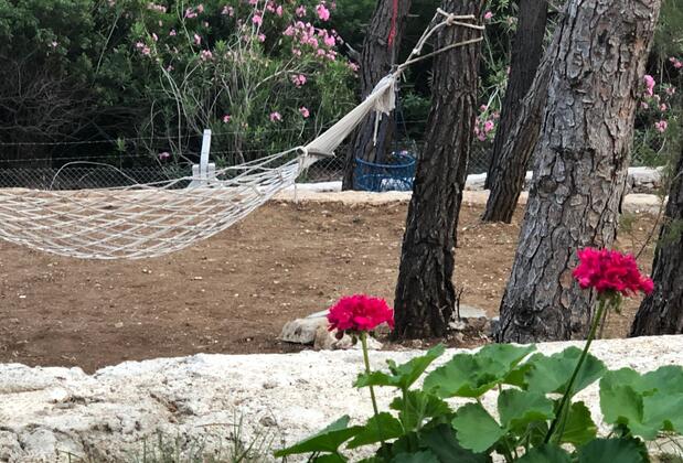 Durusu Çiftlik Evleri & Camping - Görsel 42