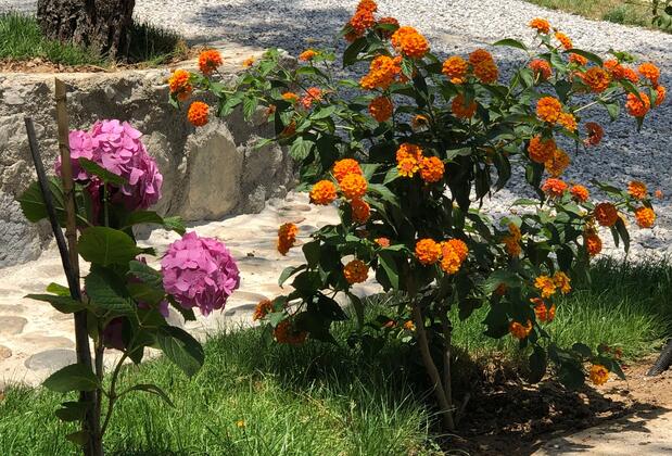 Durusu Çiftlik Evleri & Camping - Görsel 34