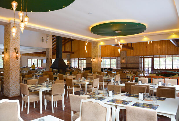 Ilgaz Yıldıztepe Otel - Görsel 9