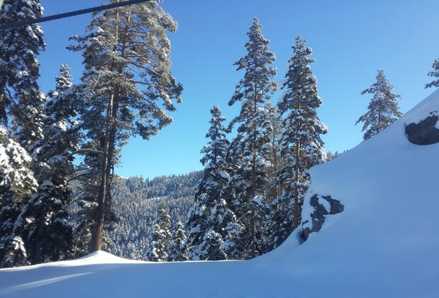 Ilgaz Yıldıztepe Otel - Görsel 4