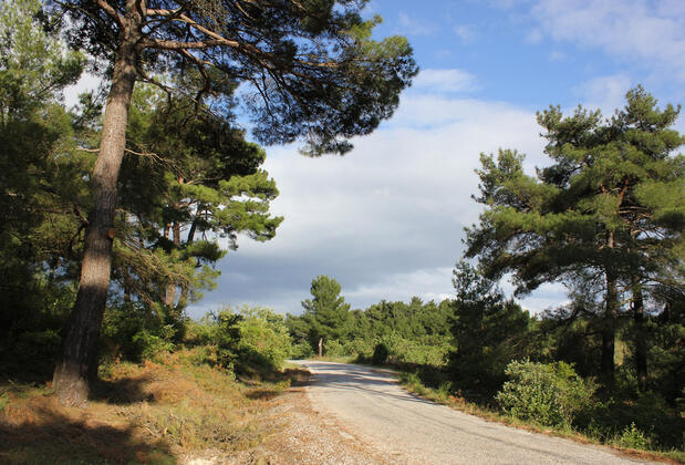 Kayalar Terrace - Görsel 24