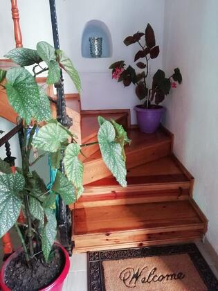 Martı Deluxe Otel - Görsel 5