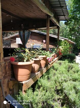 Olimpos Ada Pansiyon - Görsel 4