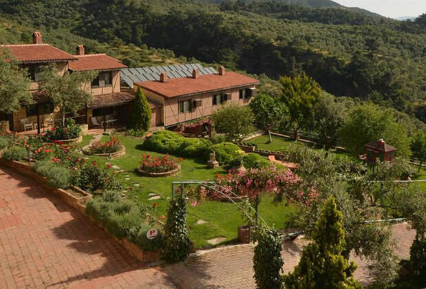 Pinecone Boutique Hotel - Görsel 7