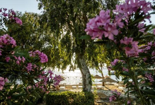 Yalıpark Otel - Görsel 8