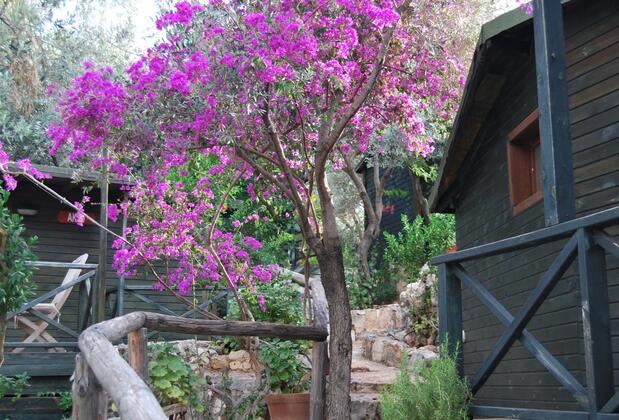 Nuri's Beach Bungalow - Görsel 11