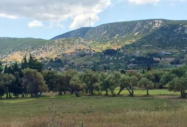 Zeytinli Konak Otel Mordoğan  - Görsel 5