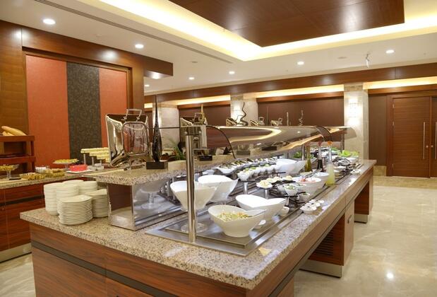 Ramada Plaza by Wyndham Malatya Altın Kayısı - Görsel 13