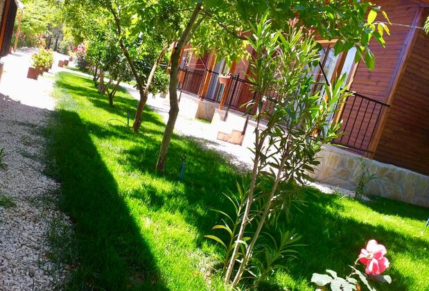 Olive Garden Pansiyon - Görsel 4