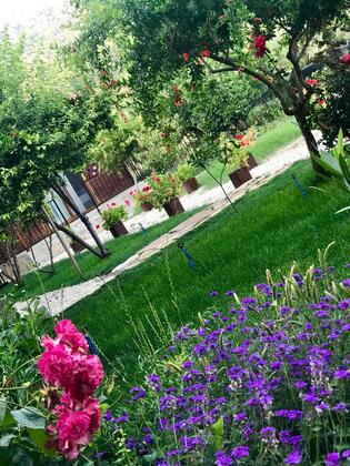 Olive Garden Pansiyon - Görsel 6