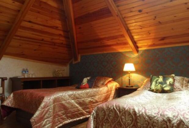 Elif Hatun Konağı - Görsel 22