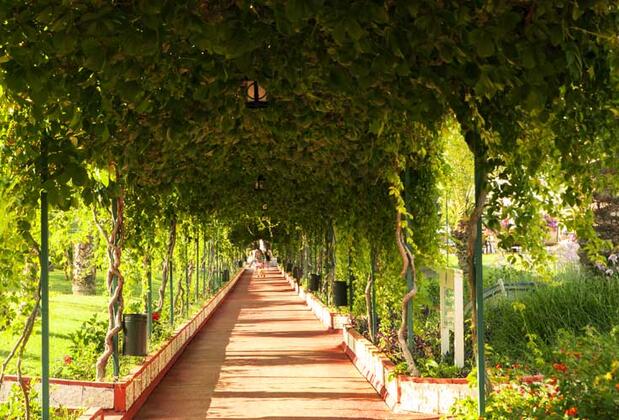  Hotel Turan Prince - Görsel 26