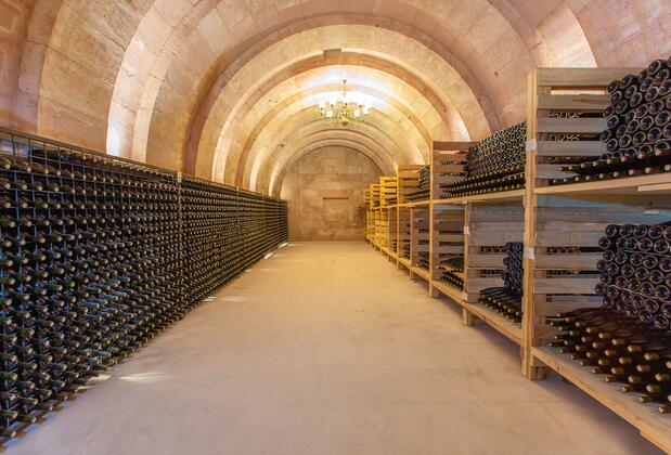 Anemon Villa Estet Bağ Hotel - Görsel 27