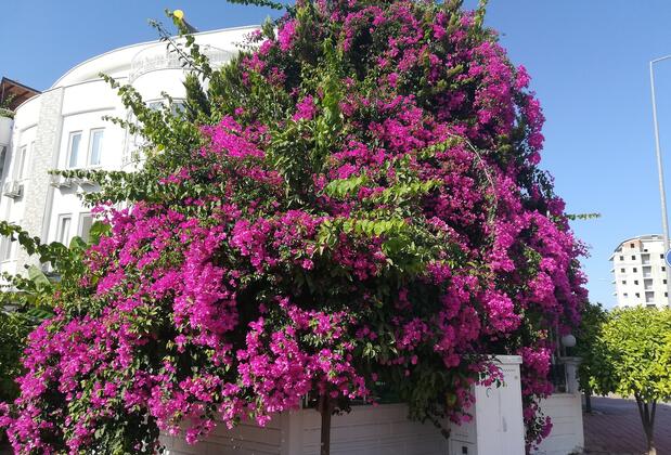 Elit Prestij Hotel - Görsel 7