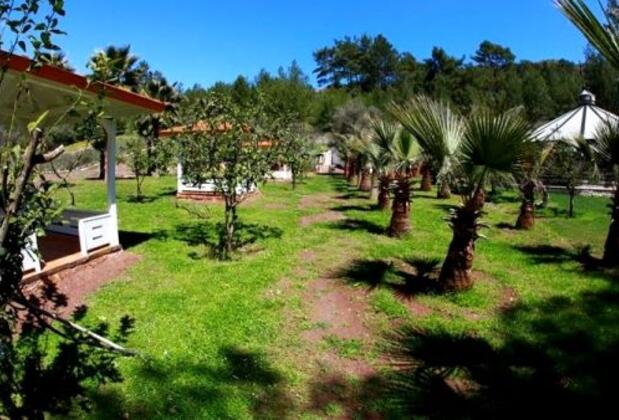 Nature Village - Görsel 3