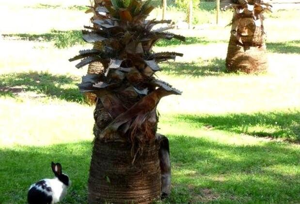 Nature Village - Görsel 10