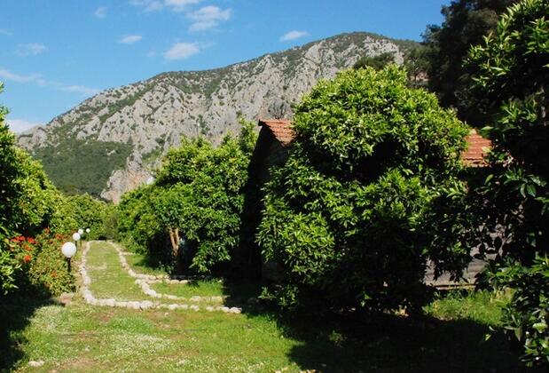 Maya Olympos - Görsel 5