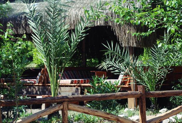 Maya Olympos - Görsel 6