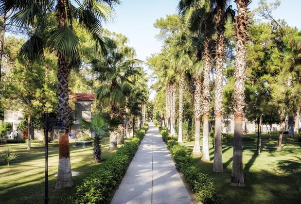 Kimeros Park Holiday Village - Görsel 8