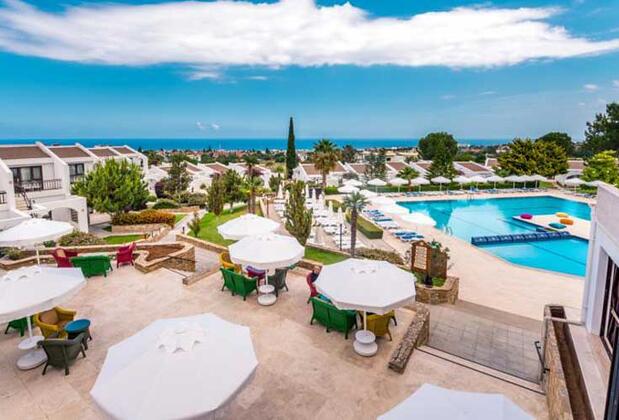 The Olive Tree - Görsel 3