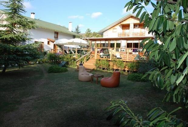 Tree Tops Park Hotel - Görsel 2