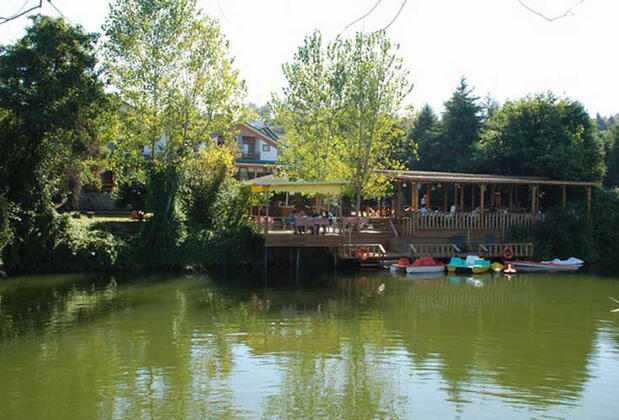 Tree Tops Park Hotel - Görsel 6