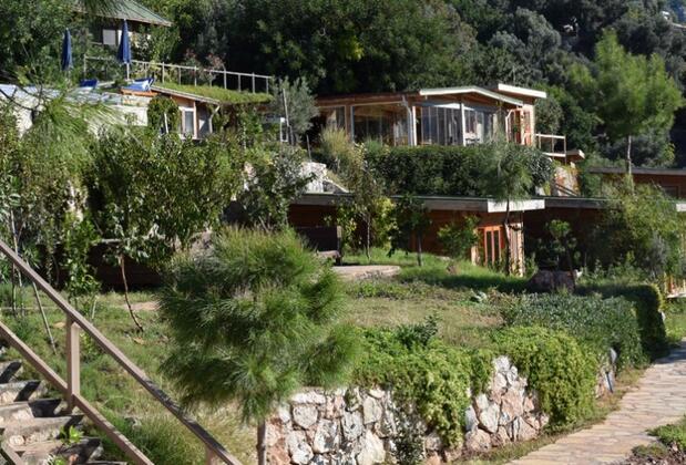 Kabak Avalon Bungalows - Görsel 10