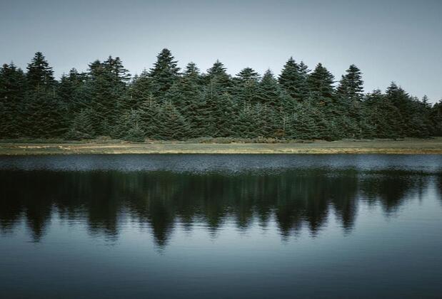 The Sign Esentepe Hotel & Ski Center - Görsel 18