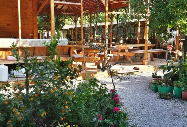 Zeytin Pansiyon Olimpos - Görsel 3