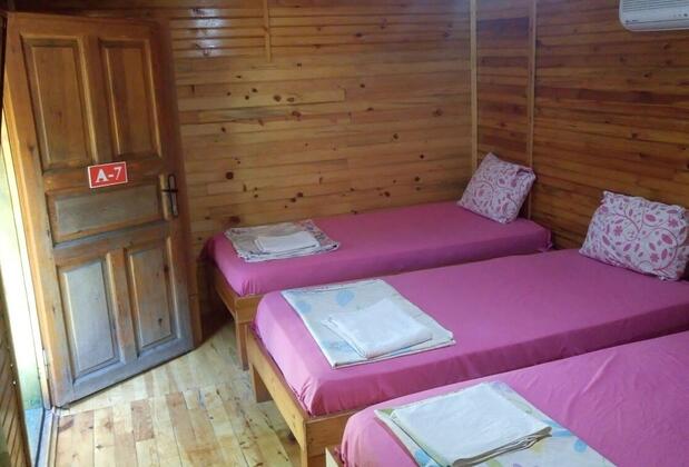 Zeytin Pansiyon Olimpos - Görsel 7