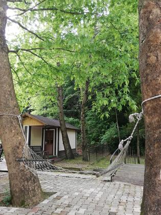 Boğaziçi Butik Otel Maşukiye - Görsel 6