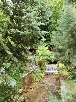 Boğaziçi Butik Otel Maşukiye - Görsel 8