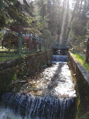 Boğaziçi Butik Otel Maşukiye - Görsel 9