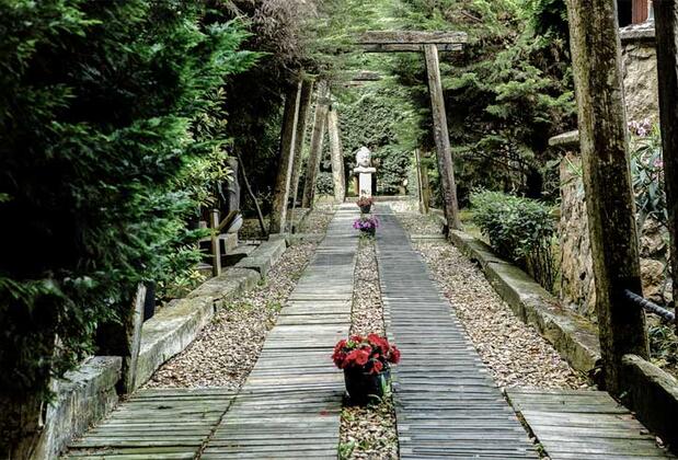 Village Park Resort & Spa - Görsel 5