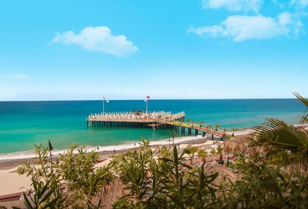 Delphin Botanik Platinum - Görsel 21