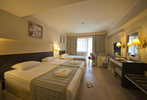 Aydınbey King’s Palace & Spa - Görsel 17