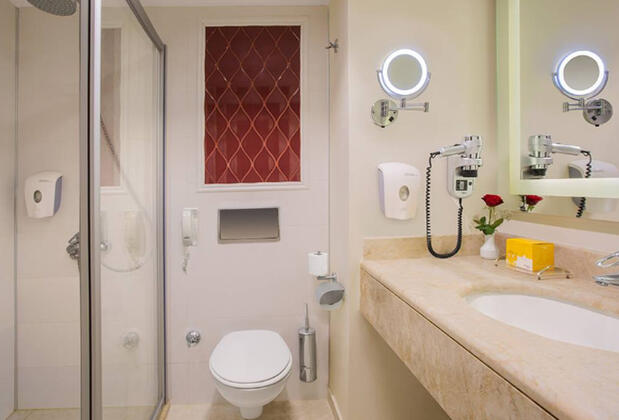 Kremlin Palace - Görsel 33