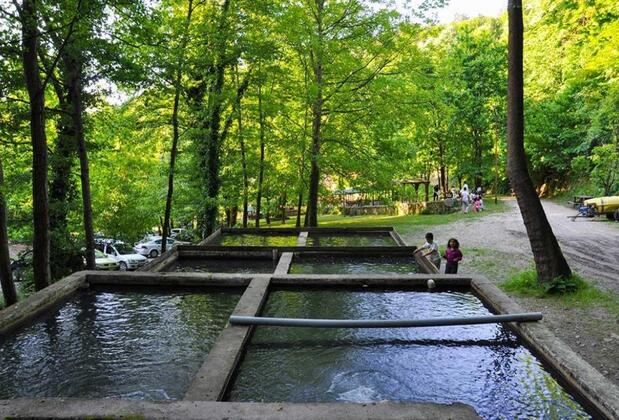 Boğaziçi Butik Otel Maşukiye - Görsel 20