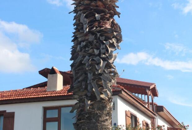 Silenos Boutique Hotel - Görsel 4