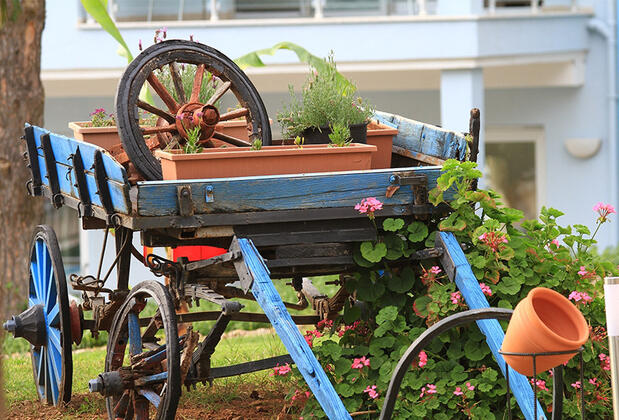 Daisy Garden Resort Hotel - Görsel 20