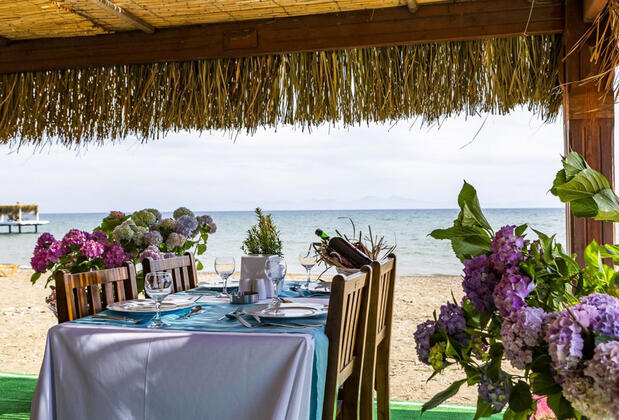 Santa Family Club - Görsel 15