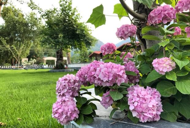 Likya Adrasan Otel - Görsel 24