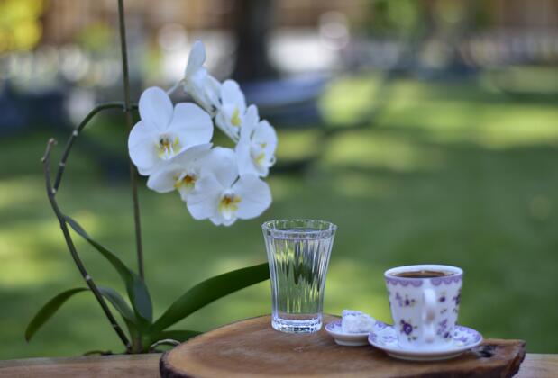 Likya Adrasan Otel - Görsel 19