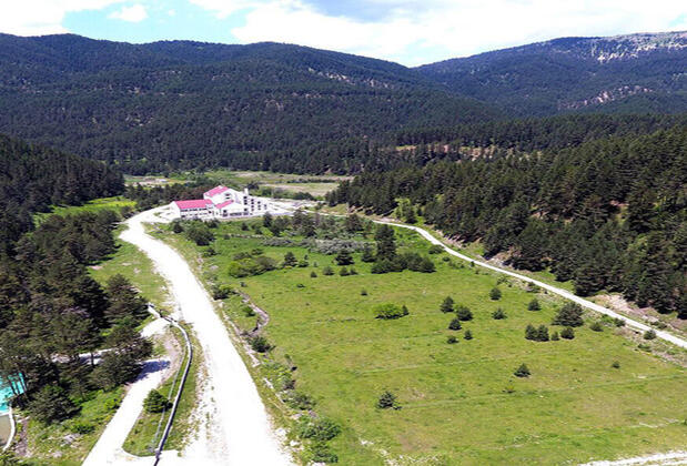 Ilgaz Hotel Mountain & Ski - Görsel 17