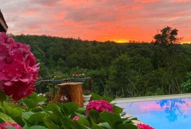 Ağva Orman Evi Otantik Otel +12 - Görsel 10