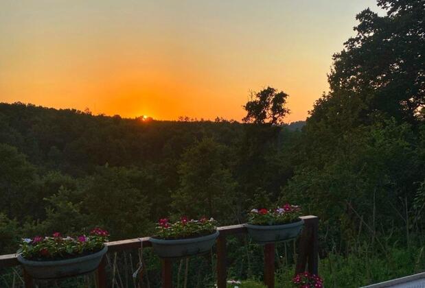 Ağva Orman Evi Otantik Otel +12 - Görsel 5